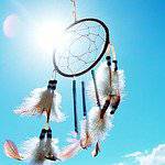 American Indian/ Native American/ Indigenous Teachers and Professionals bowl icon