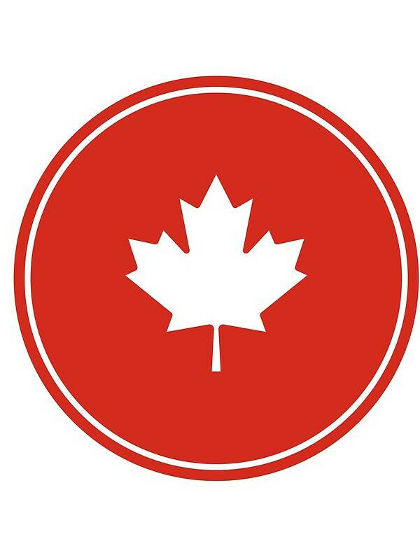 Canadian Consulting bowl icon