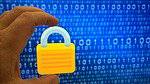 IT Security and Compliance bowl icon