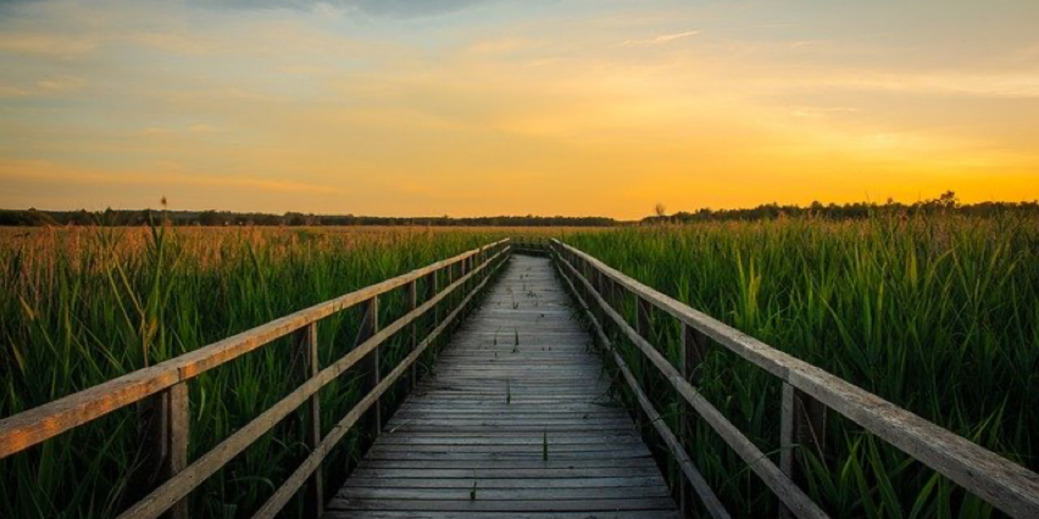 stress management self care