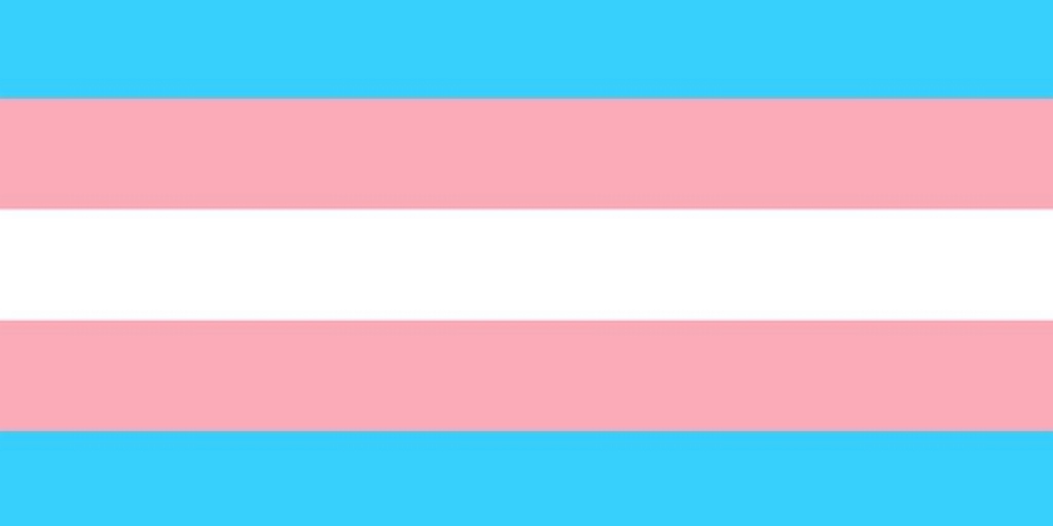 Trans in Tech bowl icon