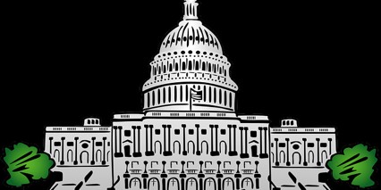 Political Consultants and Political Appointees  bowl icon