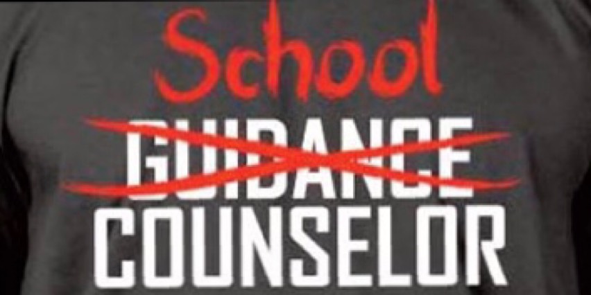 professional school counselors prek12