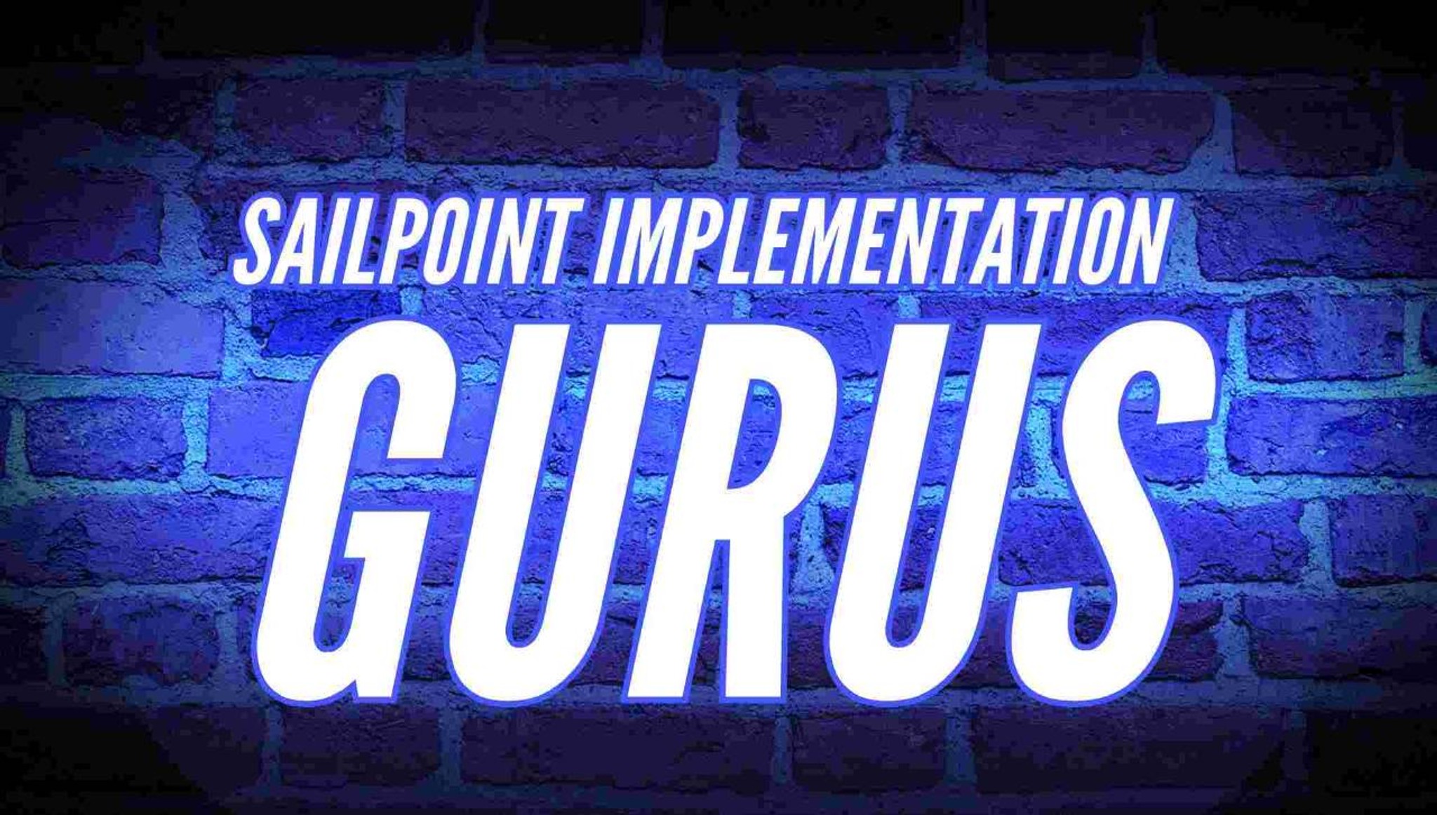 sailpoint implementation gurus