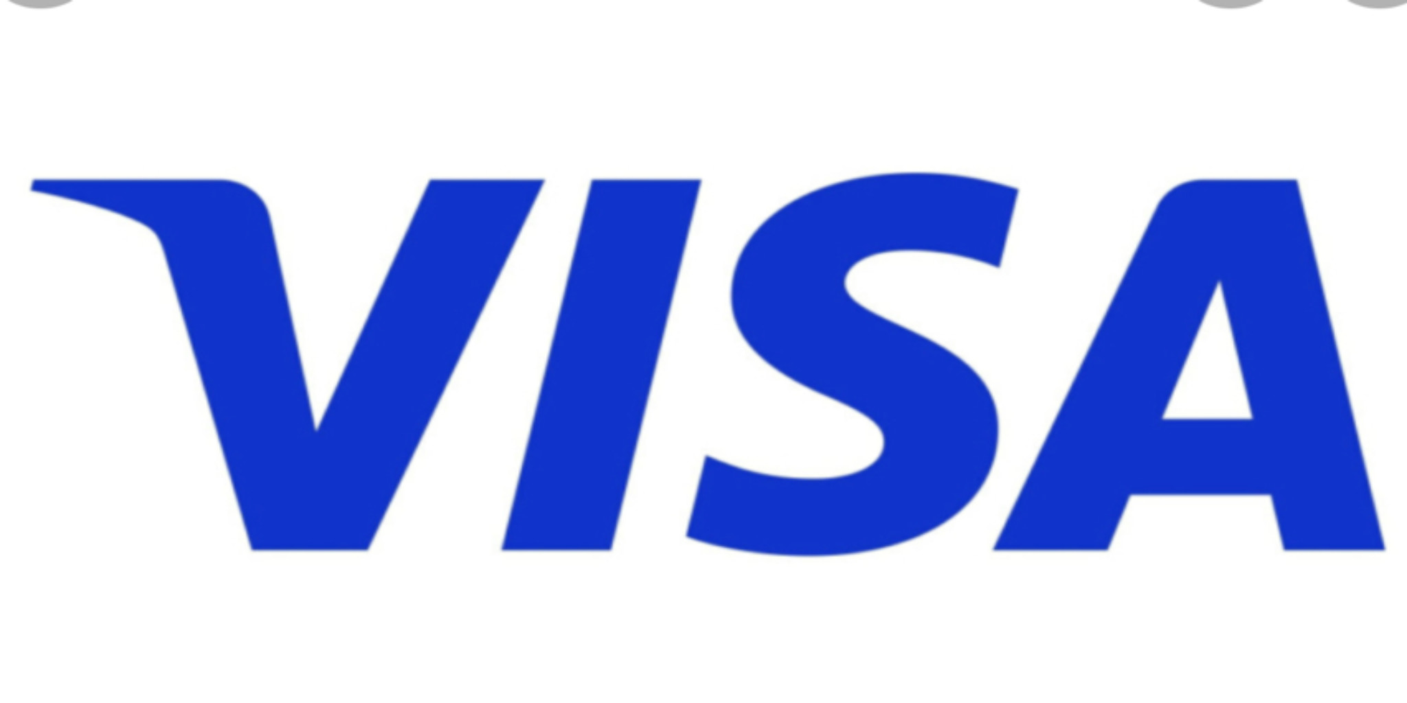 Visa Inc. bowl icon