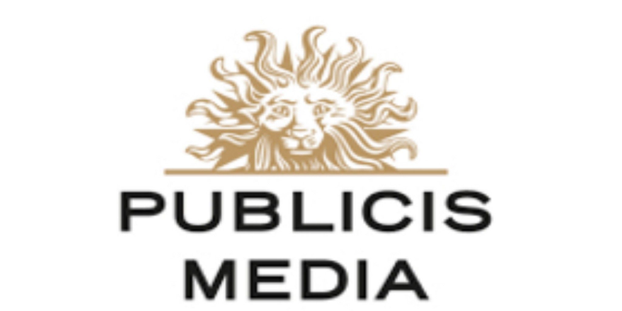 Publicis Connected Media bowl icon