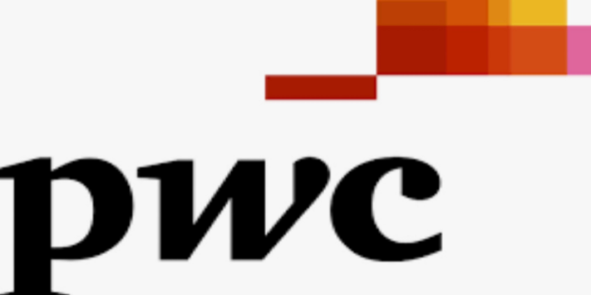 PwC New Bowl bowl icon