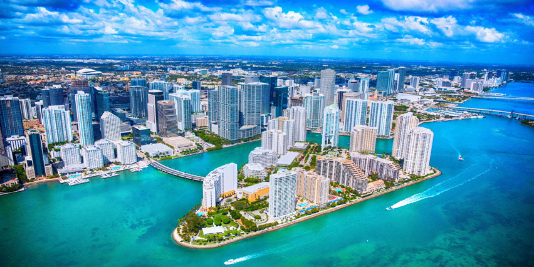 miami startups