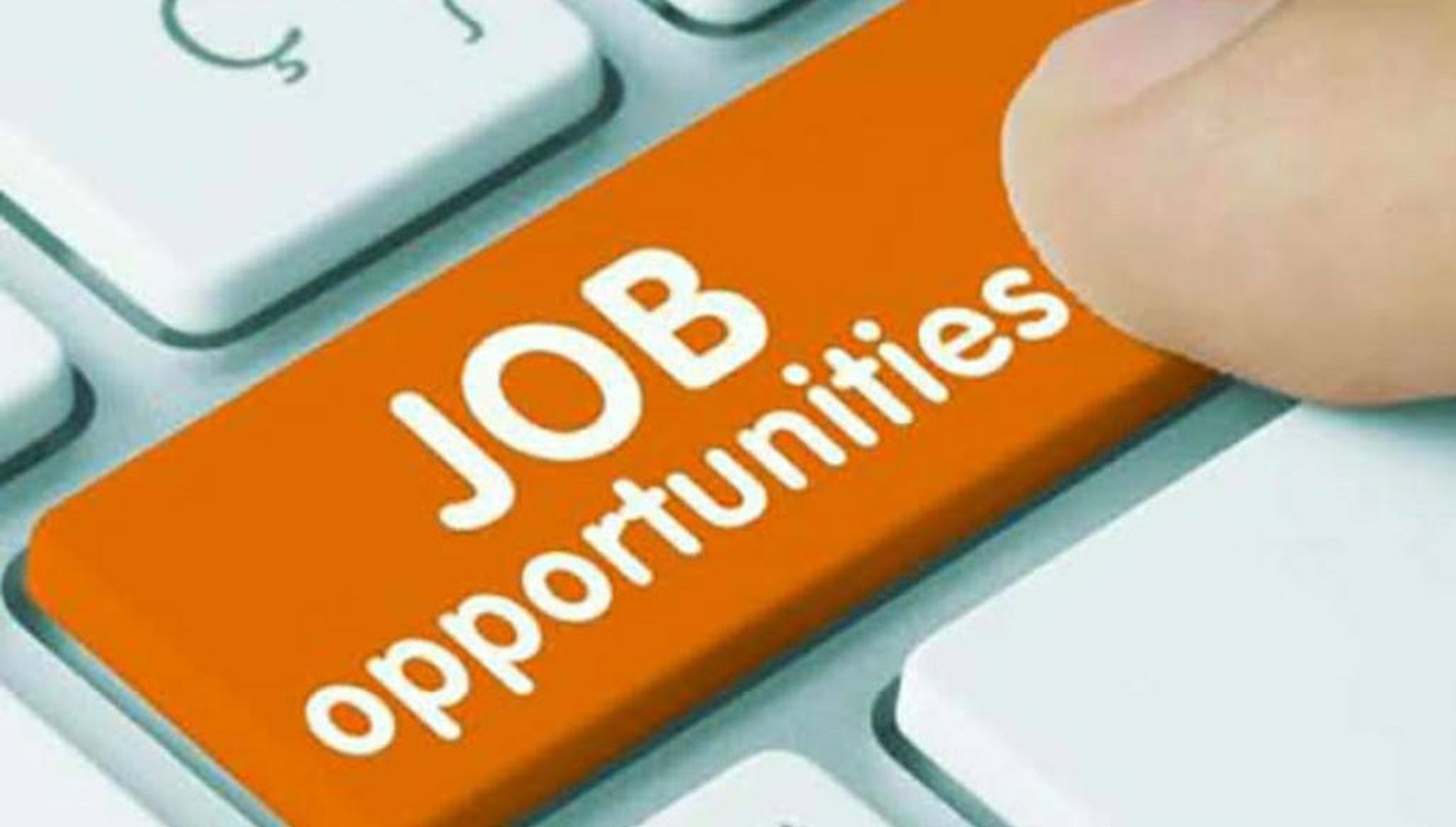 Job Opportunities in Mumbai bowl icon