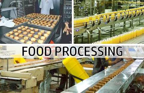 Food Processing India bowl icon