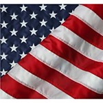 Political Memes bowl icon