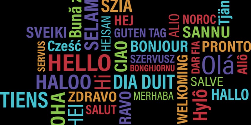 Middle School Foreign Language bowl icon