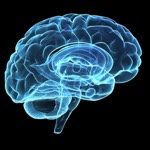 Brain-In-Transit bowl icon
