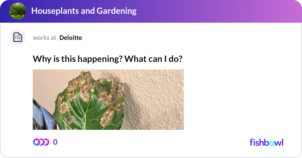 Why is this happening? What can I do? | Fishbowl