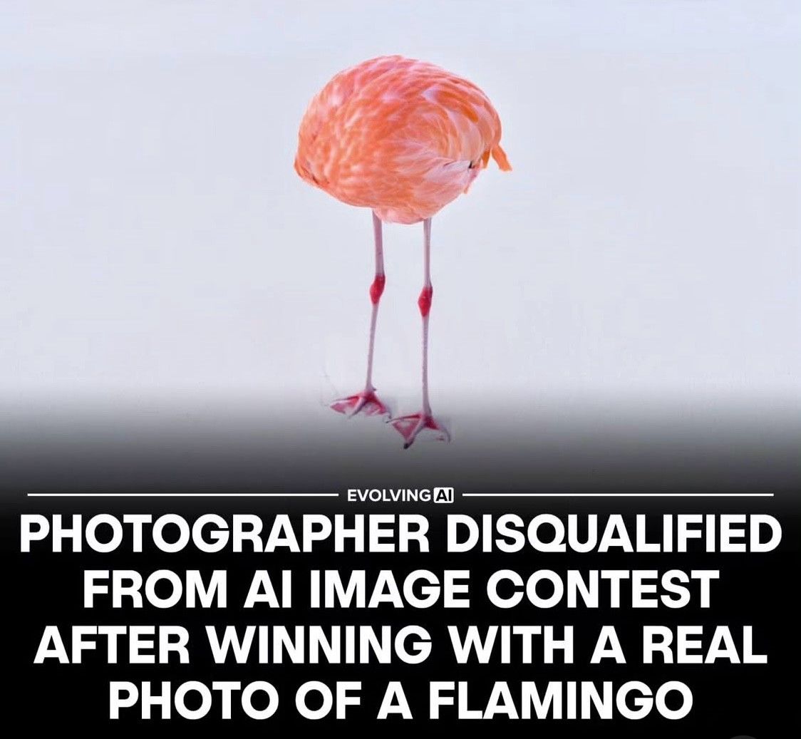 Post Photo