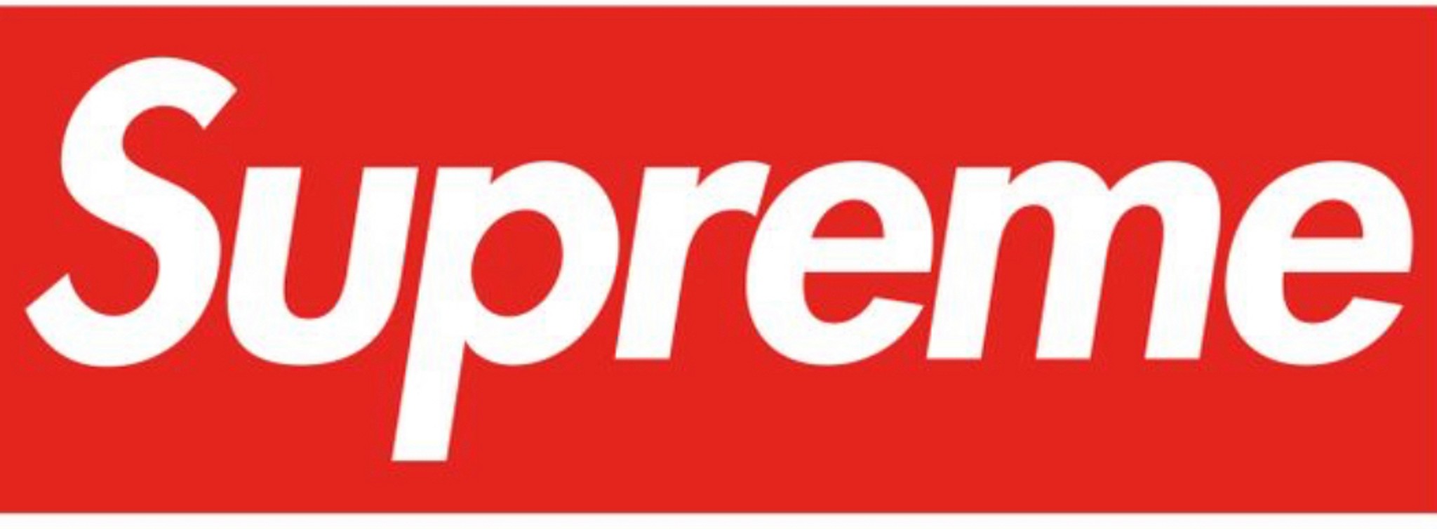 When you bring your dog to work with you, what does the dog do all day in the office? Does it