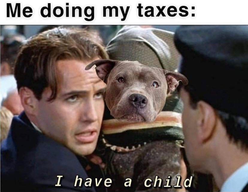 Can You Claim Pets As Dependents On Taxes Pets Retro