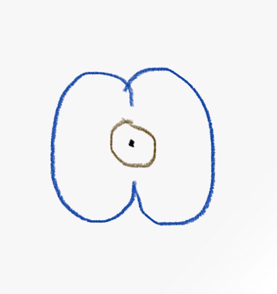 Goatees are a hairy circle around the mouth | Fishbowl