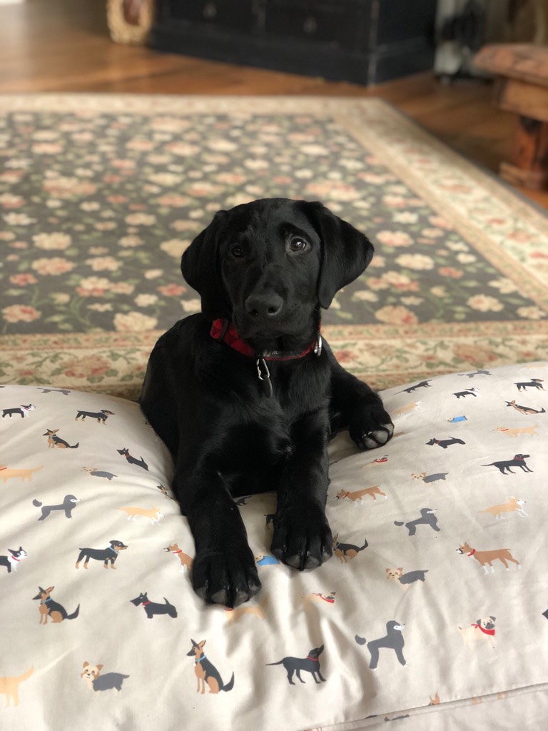 Post Photo