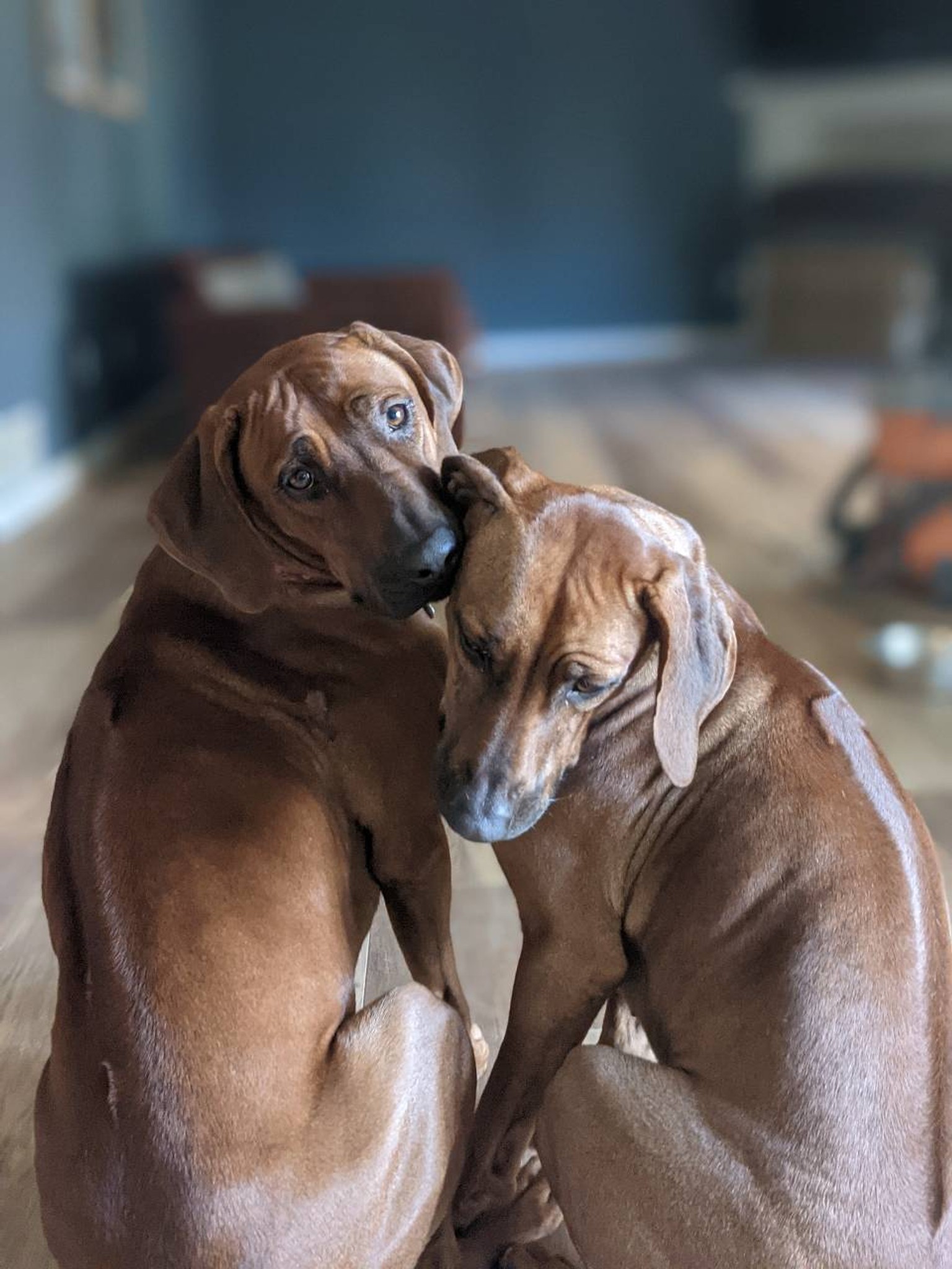 Just got offered what feels like a solid role, great company and good