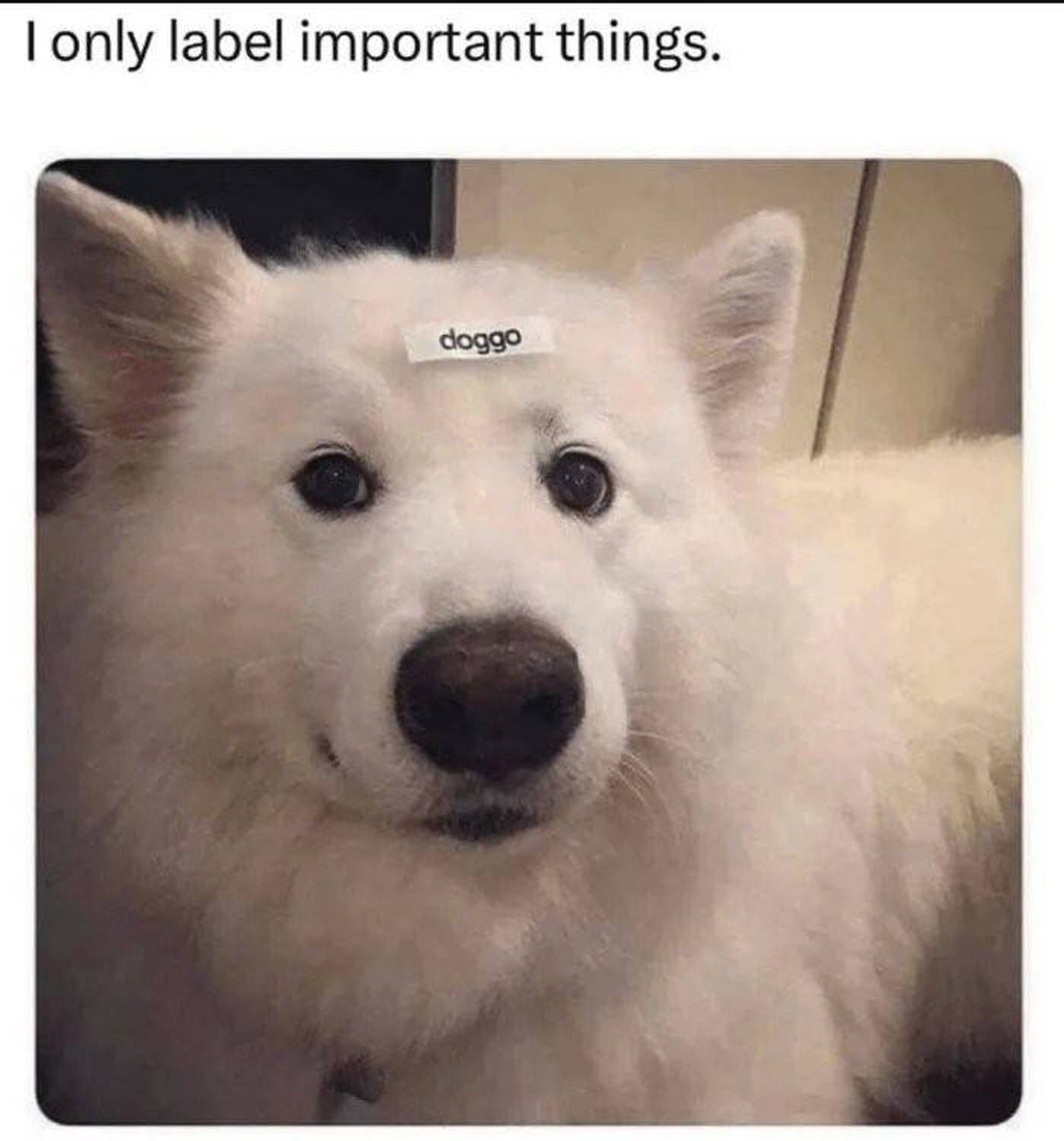 Post Photo