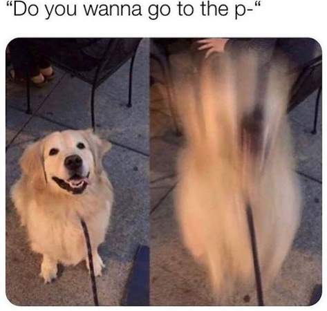 Post Photo