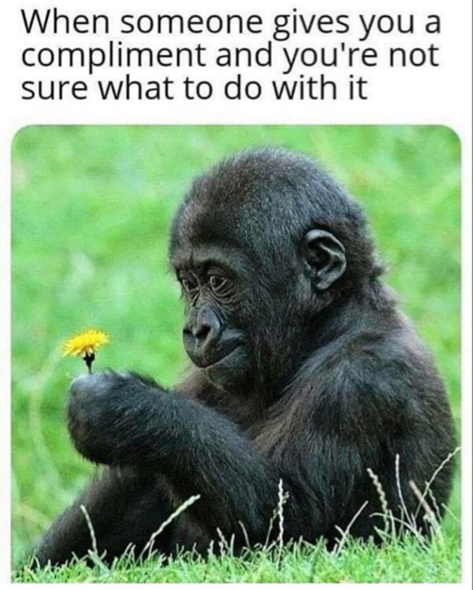 Post Photo