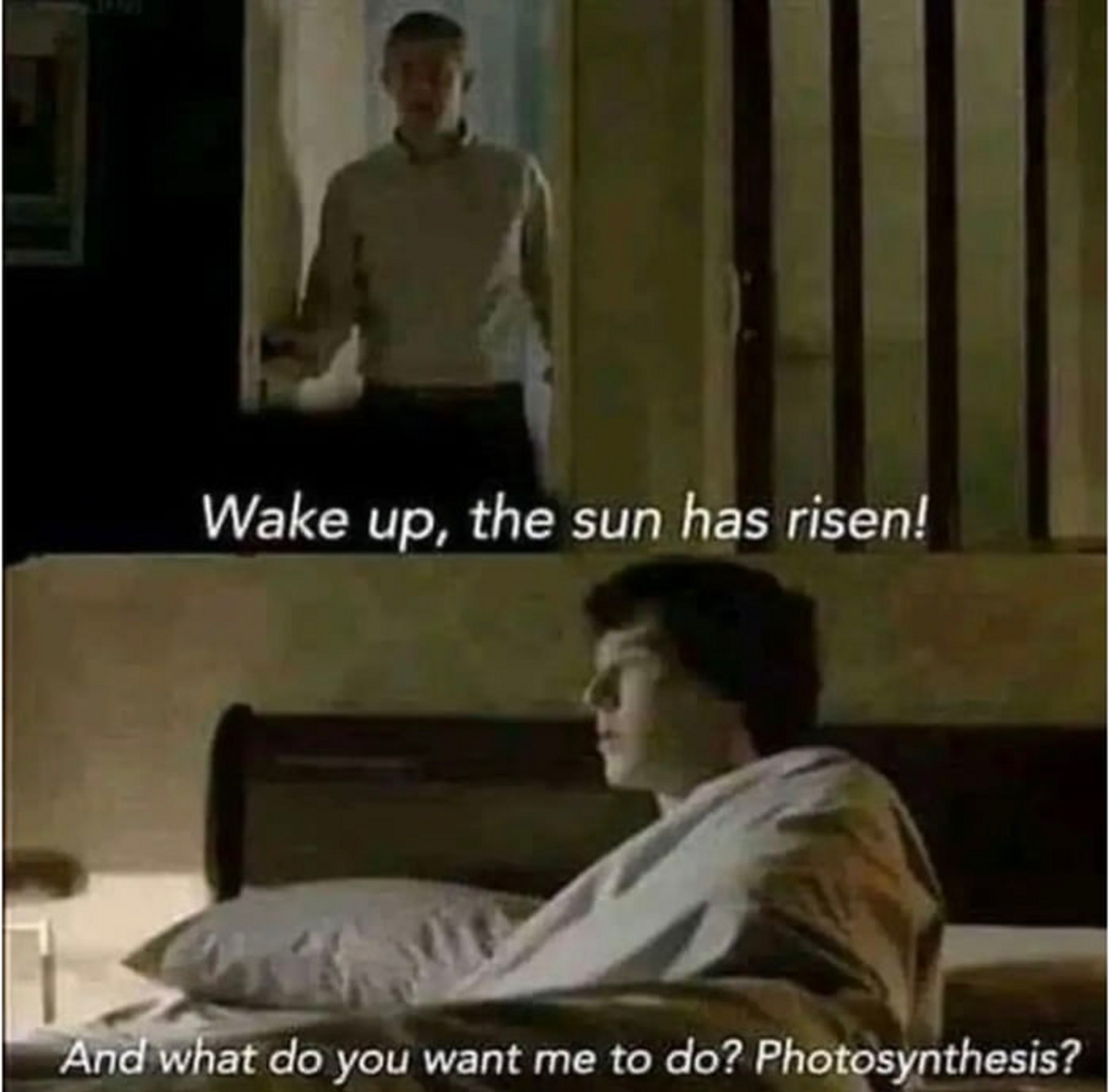 Post Photo