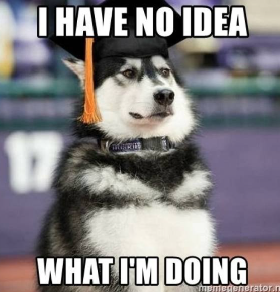 Accurate depiction of how I felt on my graduation day and how I feel ...