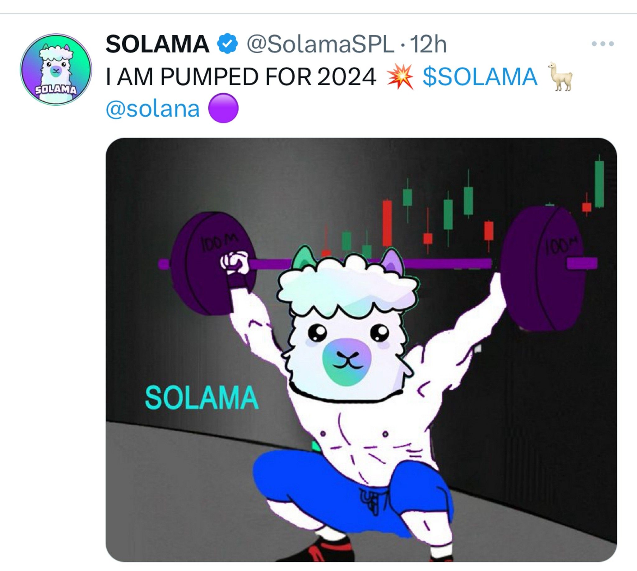 Solama is the best named memecoin on the Solana bl... | Fishbowl