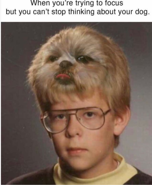 Post Photo