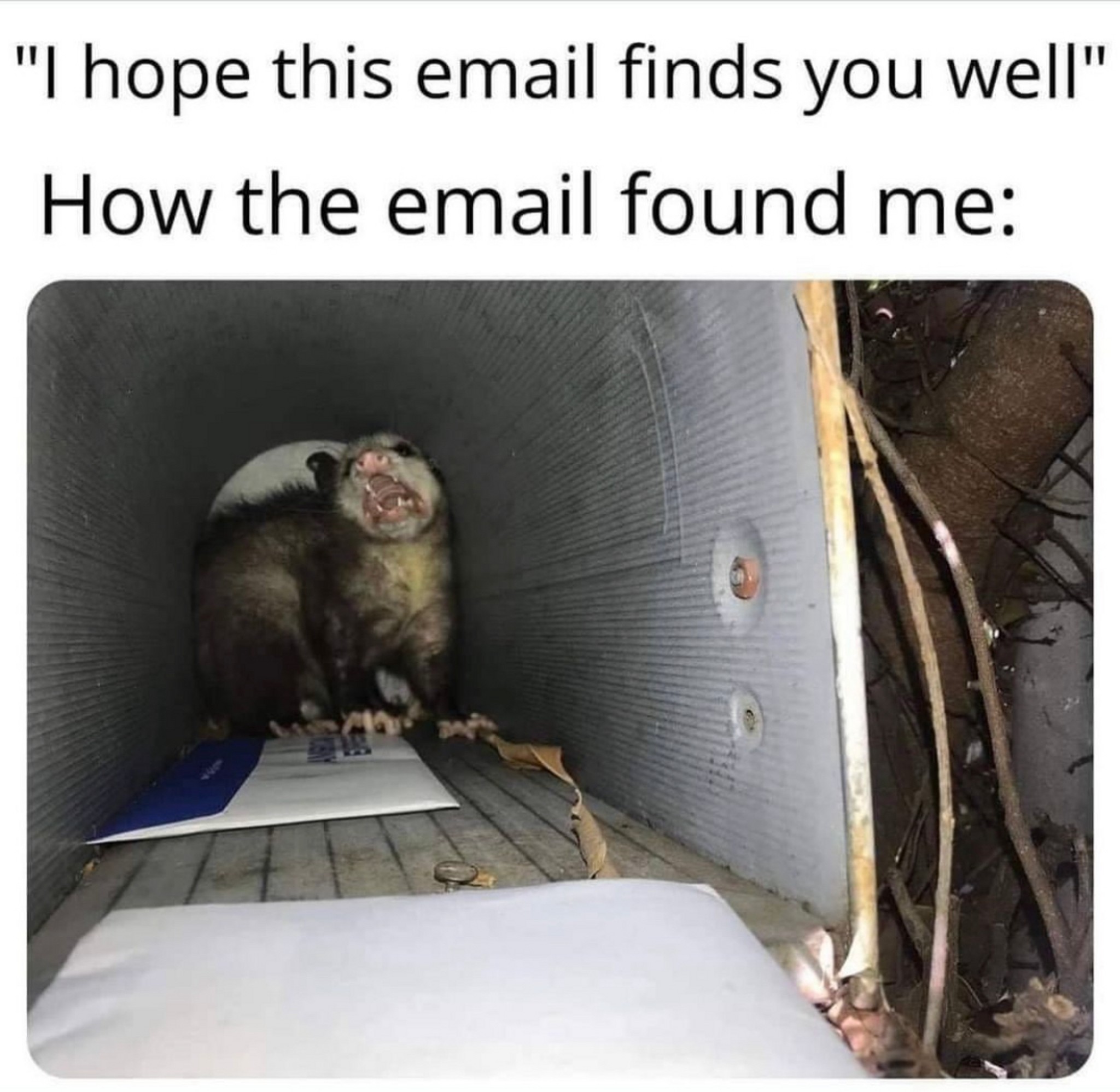 Post Photo