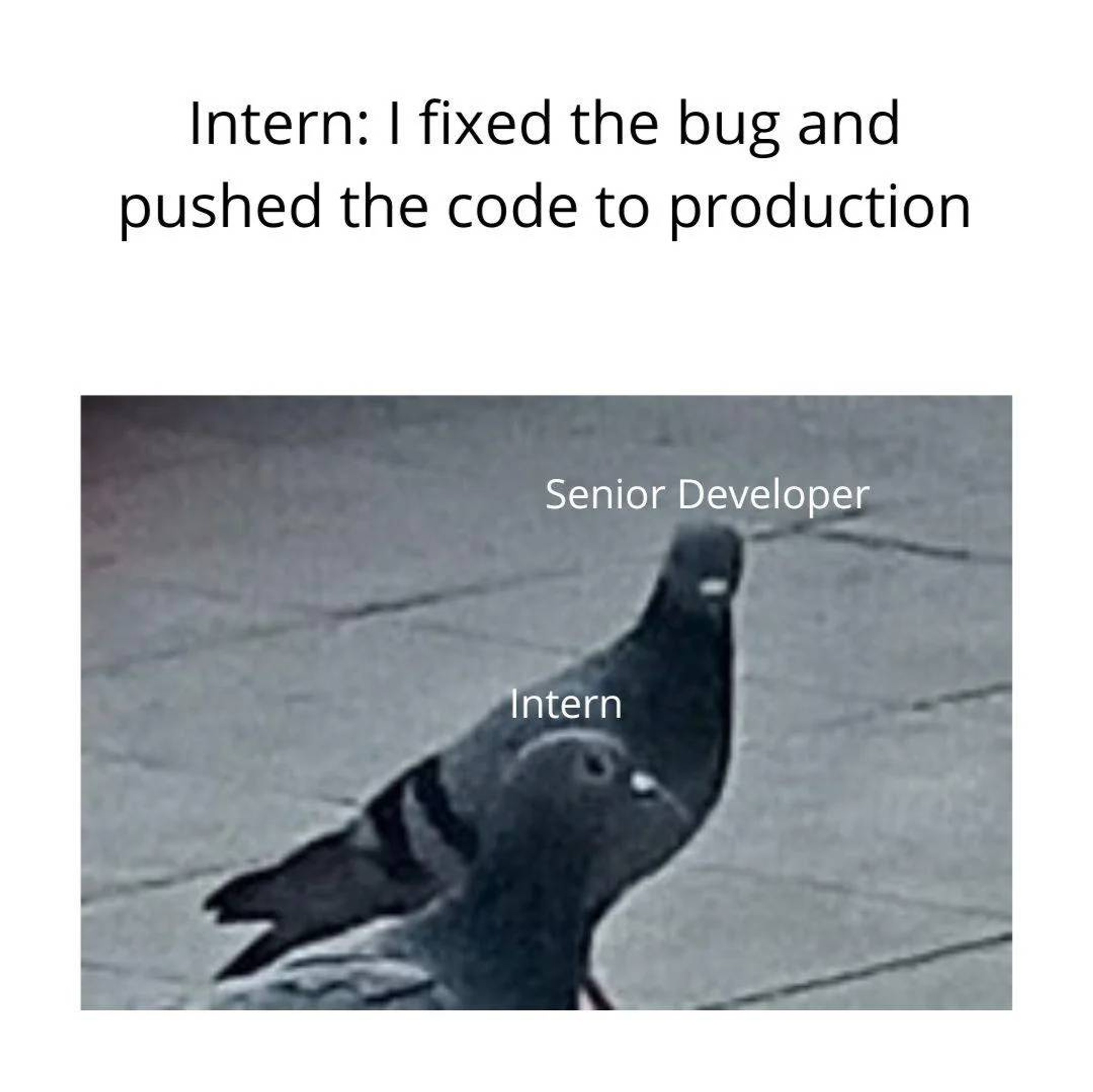 Post Photo