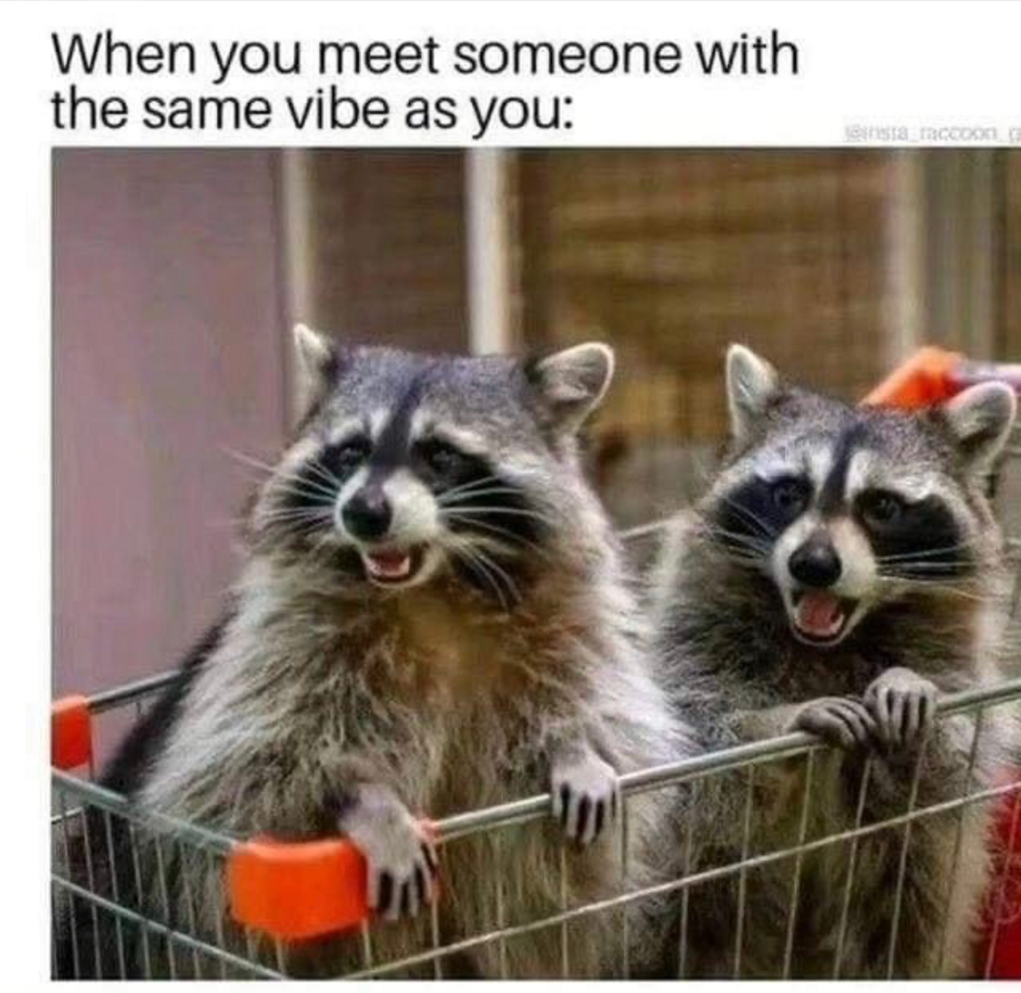 Post Photo