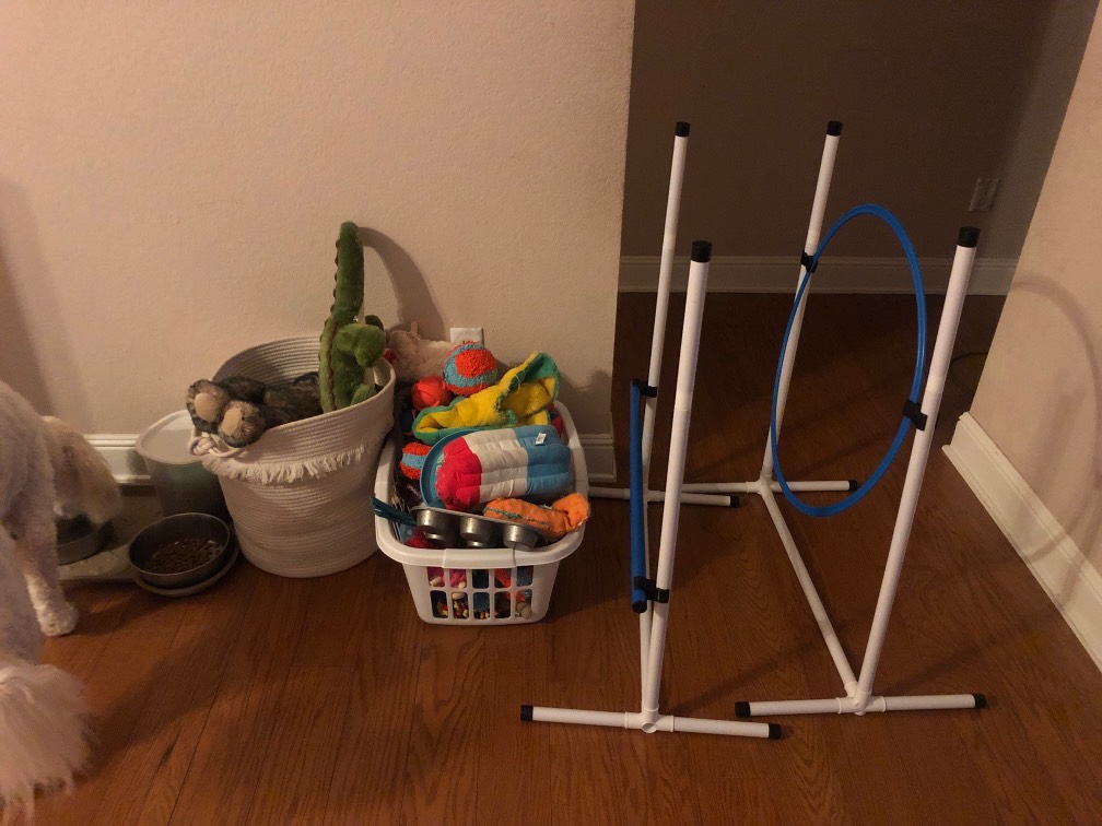 How many toys does your dog have? Im trying to dra... Fishbowl