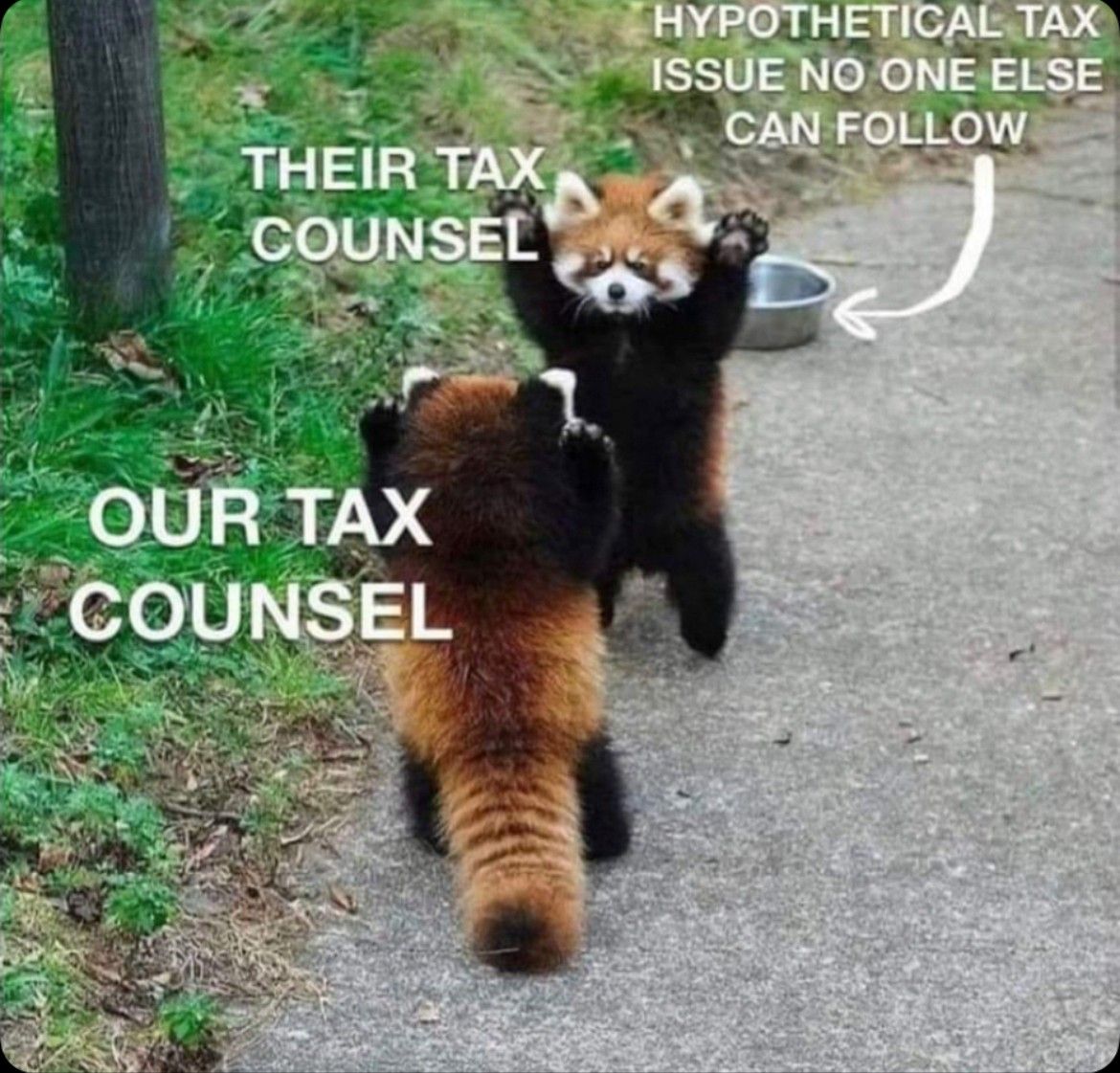 What is the dumbest practice group in big law? Fishbowl