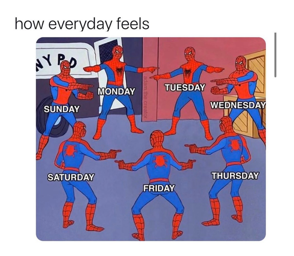 It S Wednesday My Dudes Fishbowl