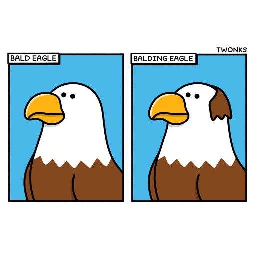 Post Photo