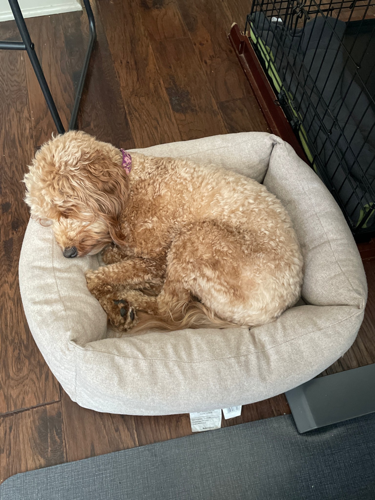 Post Photo