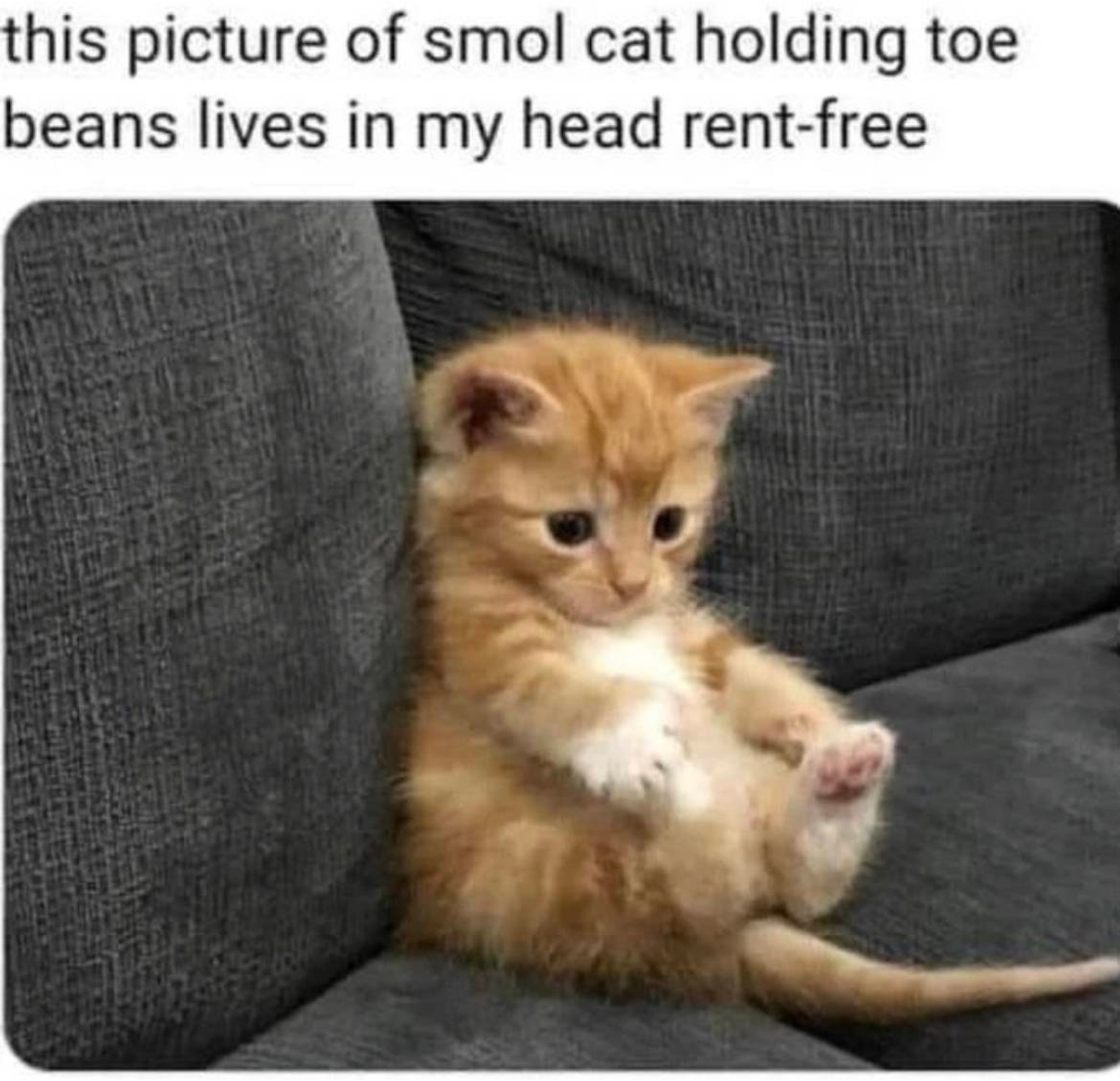 Post Photo