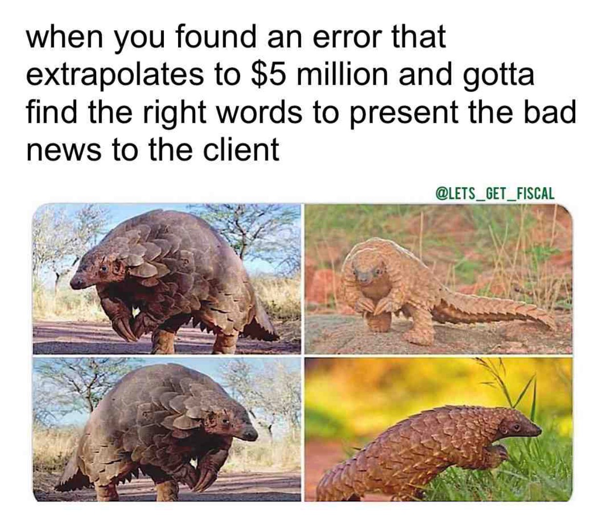 Post Photo