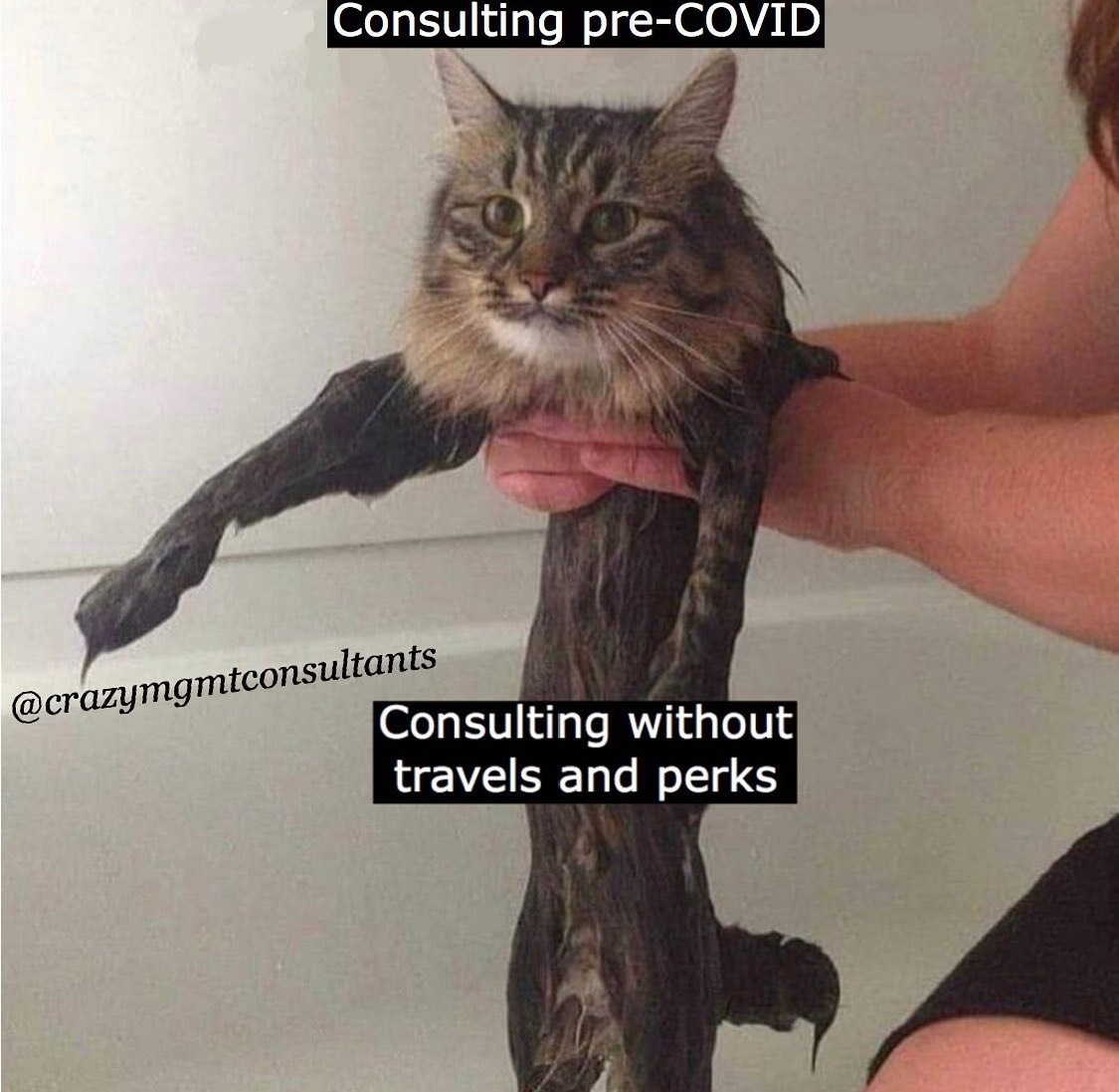 Post Photo