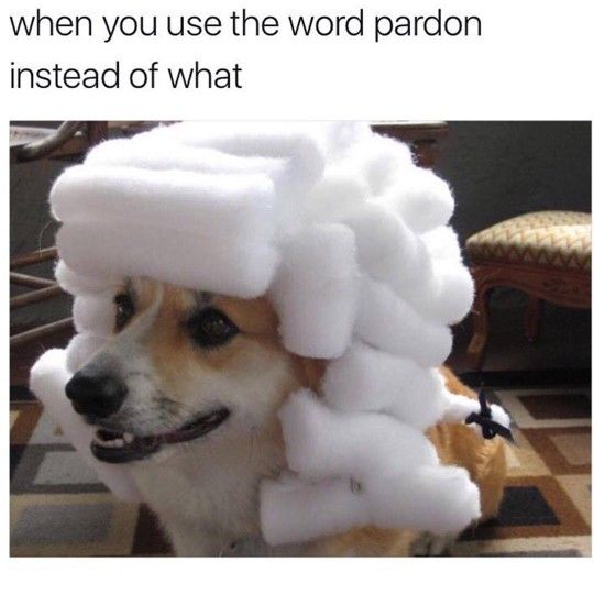 Post Photo