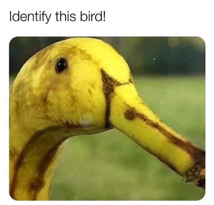 Post Photo