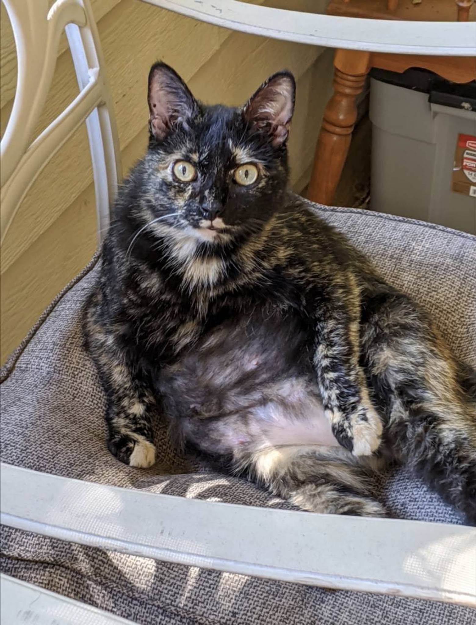 Can you post nudes on fishbowl? | Fishbowl