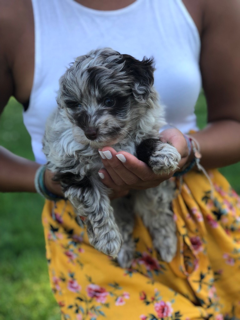 Post Photo