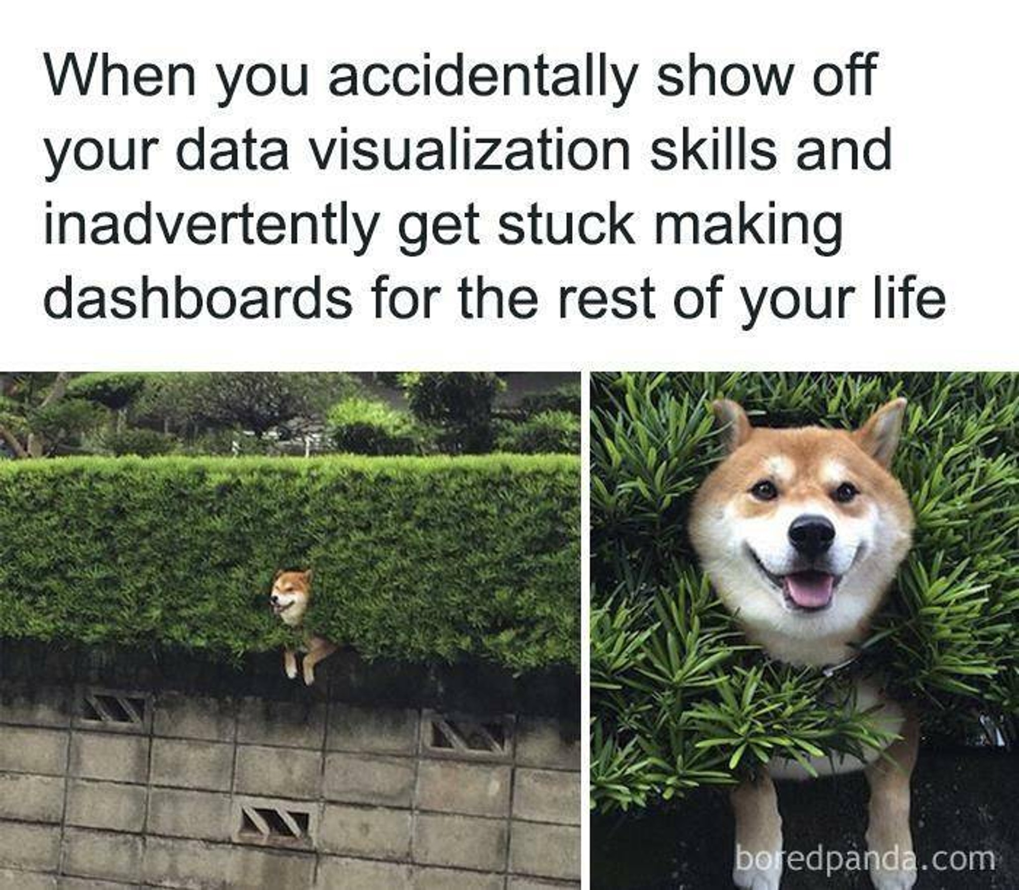 Post Photo