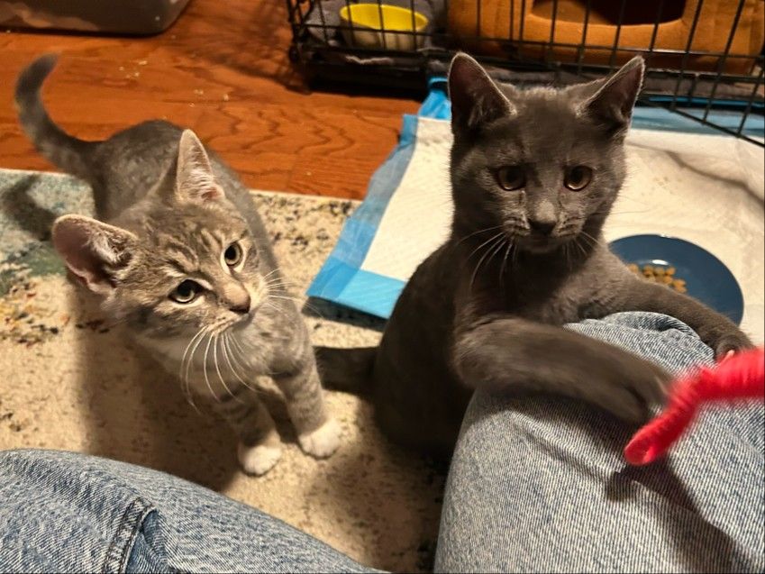 Post Photo