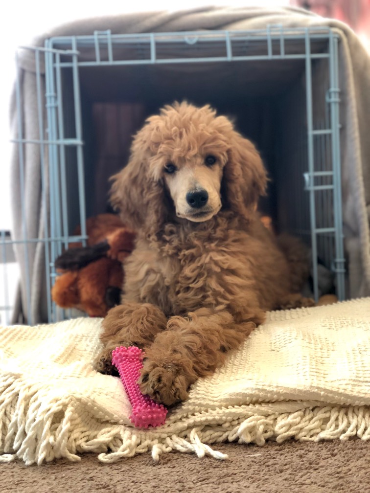 Post Photo