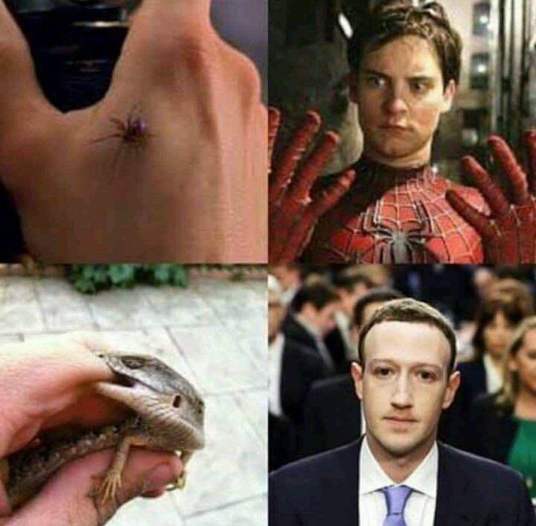 Post Photo